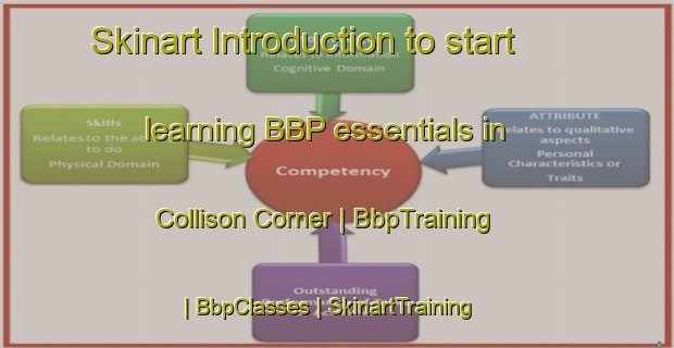 Skinart Introduction to start learning BBP essentials in Collison Corner | BbpTraining | BbpClasses | SkinartTraining-United States